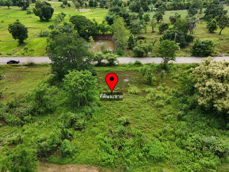 ขายที่ดิน – ห่างเมืองขอนแก่น 8 นาที 160 ตร.วา ติดถนนลาดยาง บ้านโคกสูง, ภาพที่ 4