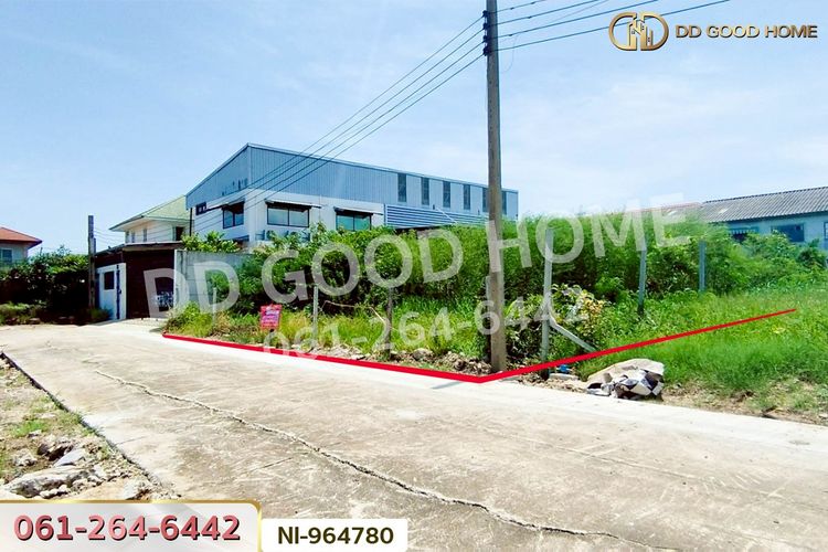 NI-964780 ที่ดินบางบัวทอง 160 ตร.ว. นนทบุรี ใกล้วัดลาดปลาดุก (เช่า), ภาพที่ 4
