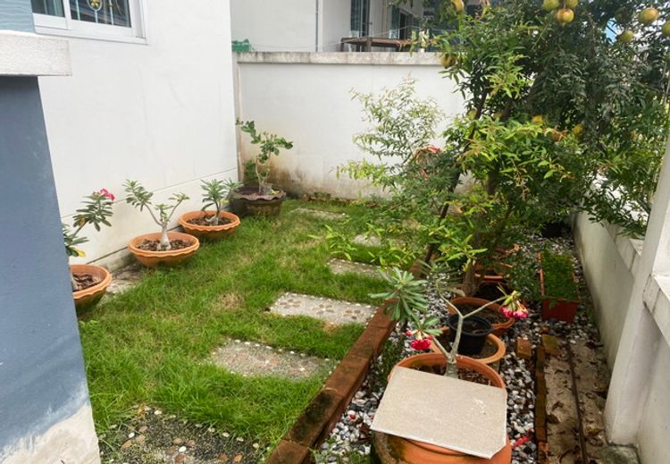 ขายบ้านแฝด หมู่บ้านพรหมศิริ เพชรเกษม 77 เนื้อที่ 33.6 ตร.ว. 2 ชั้น 3 3, ภาพที่ 4