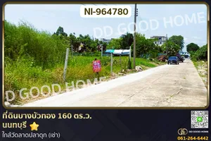 NI-964780 ที่ดินบางบัวทอง 160 ตร.ว. นนทบุรี ใกล้วัดลาดปลาดุก (เช่า)