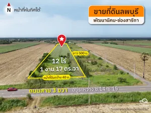ขายด่วน ที่ดินวิวเขา ต.ช่องสาริกา อ.พัฒนานิคม จ.ลพบุรี 12-1-17 ไร่ [FAS2506111]