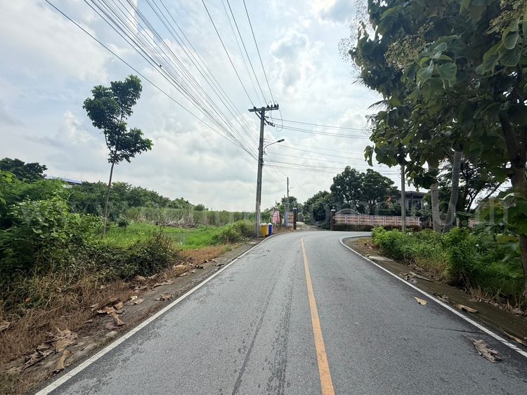 ที่ดินเปล่า 266 ตร.วา ท่าอิฐ 15 แยกตาลเดียว - วัดบางบัวทอง นนทบุรี, ภาพที่ 4