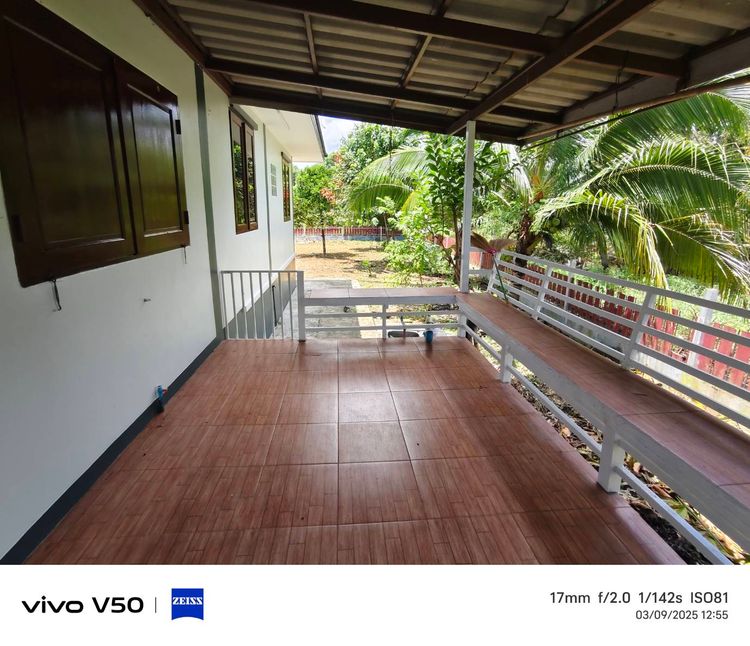 ขายบ้านสวนรีโนเวทใหม่ 275 ตรว.4 ห้องนอน 2 ห้องน้ำ เจ้าของขายเอง ราคา, ภาพที่ 4