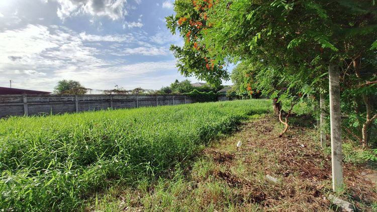 ขายที่ดินในหมู่บ้านกฤษดานคร 21 บางนาตราด กม. 7, ภาพที่ 4