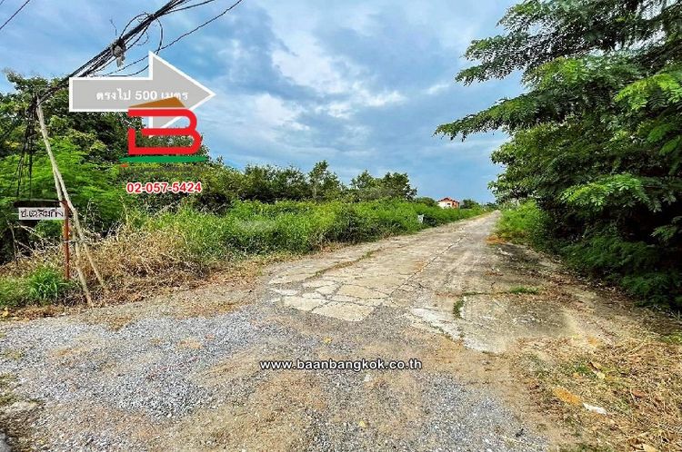 ที่ดินเปล่า ซอยเฉลิมกิจ (เลียบคลอง12) เนื้อที่ 200 ตร.ว ตำบลหนองสามวัง, ภาพที่ 4