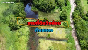 ขายที่ดิน เนื้อที่ 200ตร.ว. ต.ลำตาเสา อ.วังน้อย จ.พระนครศรีอยุธยา