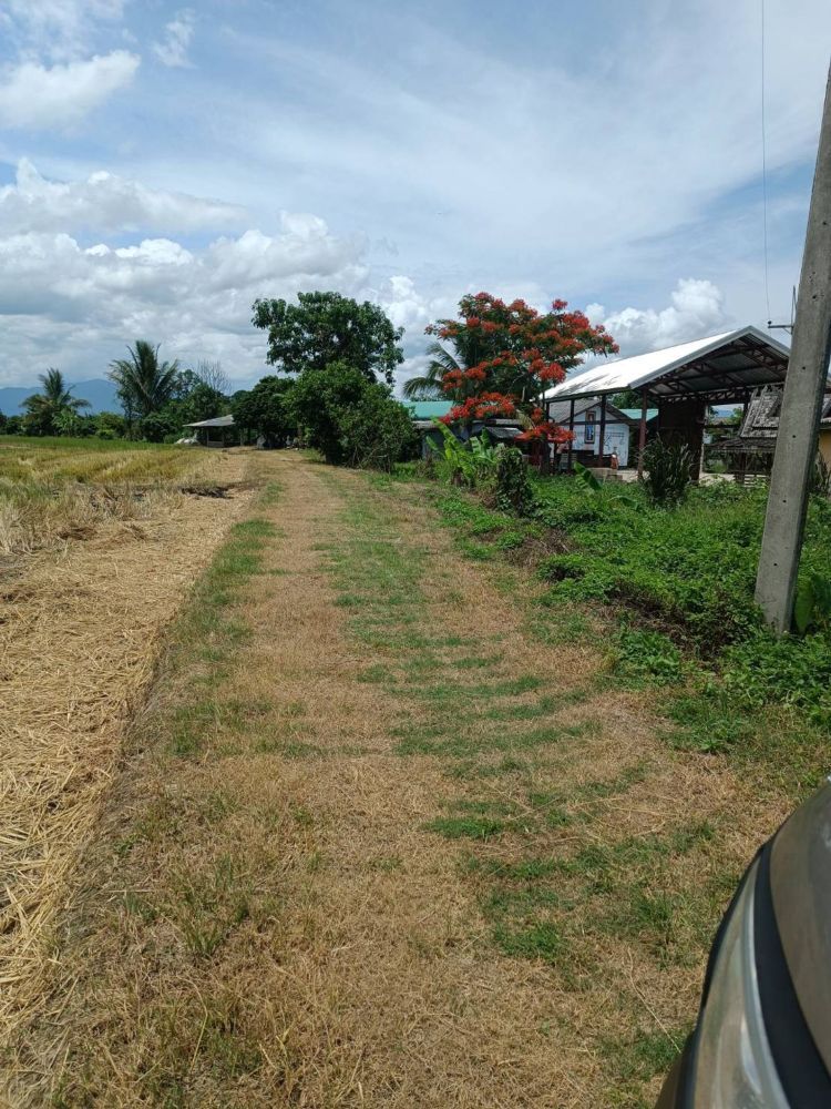 ขายที่ดิน 14 ไร่ 37 ตร.ว. ติดถนน โฉนดครุฑแดง พร้อมโอน  จังหวัดเชียงราย, ภาพที่ 4