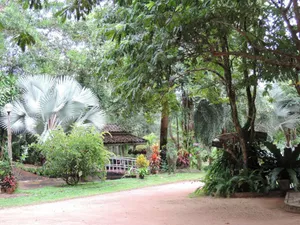 สวนศูนย์เรียนรู้สมุนไพร ผสมสวนผลไม้  พร้อม  บ้านพัก  