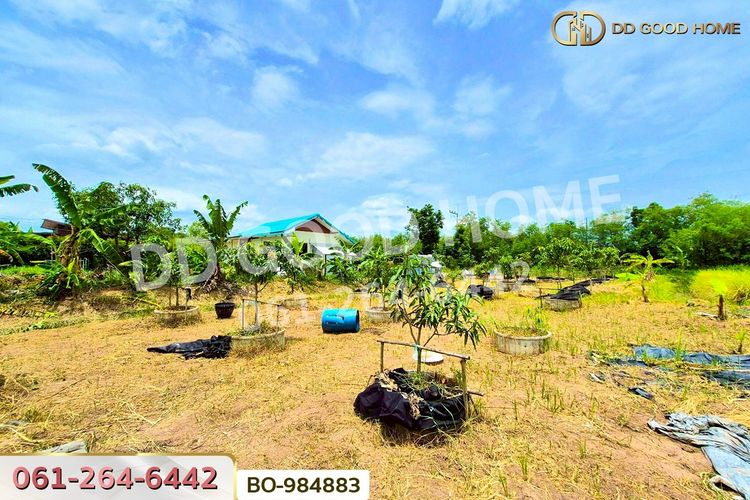 BO-984883 ที่ดินหนองเสือ 60 ตร.ว. ปทุมธานี, ภาพที่ 4