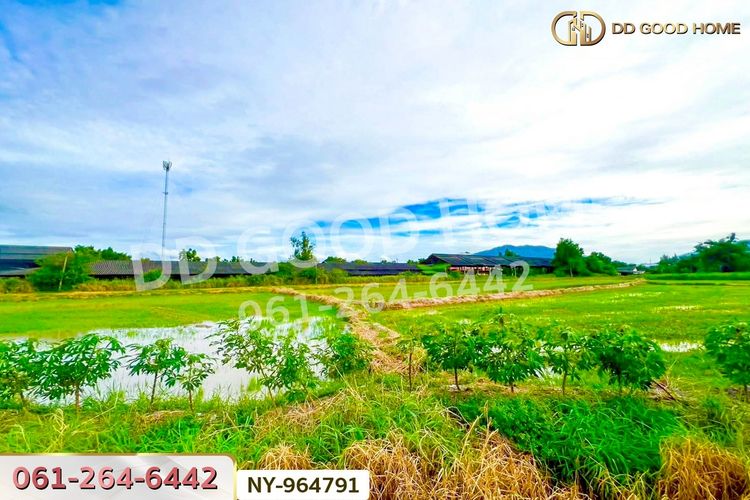 NY-964791 ที่ดินบ้านบึง 4 ไร่ ชลบุรี ใกล้ภิญโญฟาร์ม, ภาพที่ 4