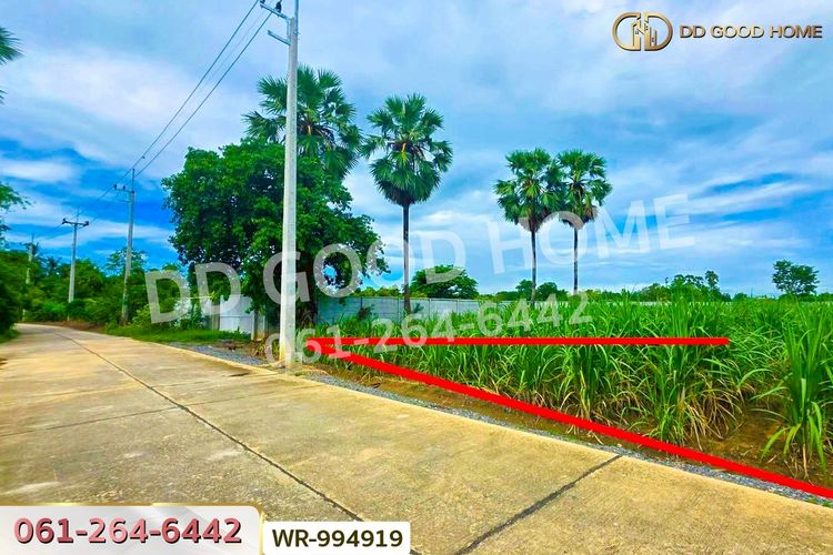 WR-994919 ที่ดินทุ่งคอก 6 ไร่ 110 ตร.ว. สุพรรณบุรี ใกล้สำนักงานขนส่ง, ภาพที่ 4