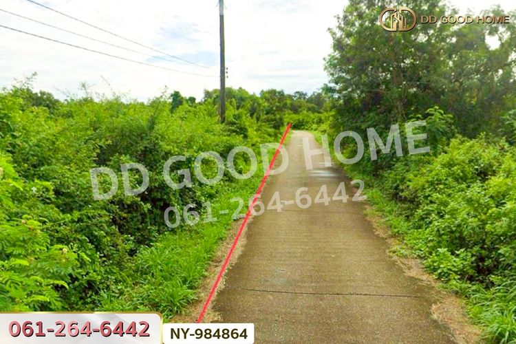 NY-984864 ที่ดินราชสาส์น 13 ไร่ 31ตร.ว. ฉะเชิงเทรา ใกล้ กศน.บางคา, ภาพที่ 4