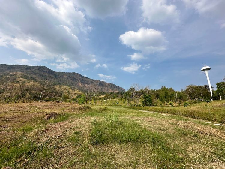 ขายที่ดินเขาค้อ วิวหลักล้าน | The Blue Sky Project – The Mountain, ภาพที่ 4