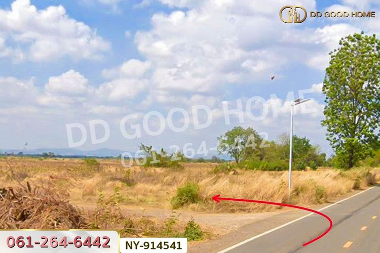 NY-914541 ที่ดินบึงสามพัน 100 ตร.ว. เพชรบูรณ์ ใกล้วัดบึงสามพันล่าง, ภาพที่ 4