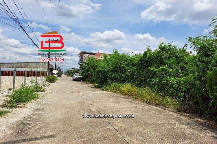 ที่ดินเปล่า ซอยชัยมงคล เนื้อที่ 60 ตร.ว ใกล้ตลาดวงศกร ตำบลลาดสวาย, ภาพที่ 4