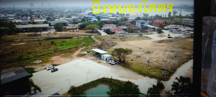 ให้เช่าบ้านสวนพร้อม ที่ดิน3-1-0ไร่ หนองโคตร (ร้านซาวสี่คาเฟ่เดิม), ภาพที่ 4