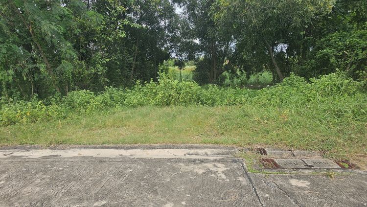 ที่ดินมีนบุรี 60 ตร.ว. ถมแล้ว ซอยราษฎร์อุทิศ 10 เขตมีนบุรี กรุงเทพ, ภาพที่ 4