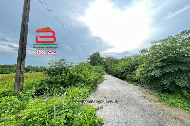 ที่ดินเปล่า ซอยเฉลิมกิจ (เลียบคลอง12) เนื้อที่ 200 ตร.ว ตำบลหนองสามวัง, ภาพที่ 4