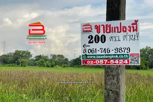 ที่ดินเปล่า ซอยเฉลิมกิจ (เลียบคลอง12) เนื้อที่ 200 ตร.ว ใกล้มัสยิดอิกอมาตุ้ล ตำบลหนองสามวัง อำเภอหนองเสือ ปทุมธานี