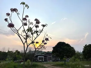 ขายบ้านพักตากอากาศ เขาใหญ่