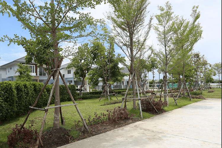 ขาย บ้าน ในโครงการ เทรนดี้ ธารา บางใหญ่หลังมุม ตำบลบางคูรัด, ภาพที่ 4