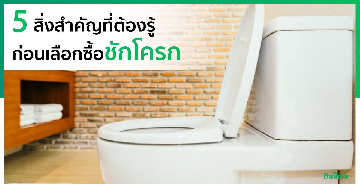 บ้าน, ภาพหลัก