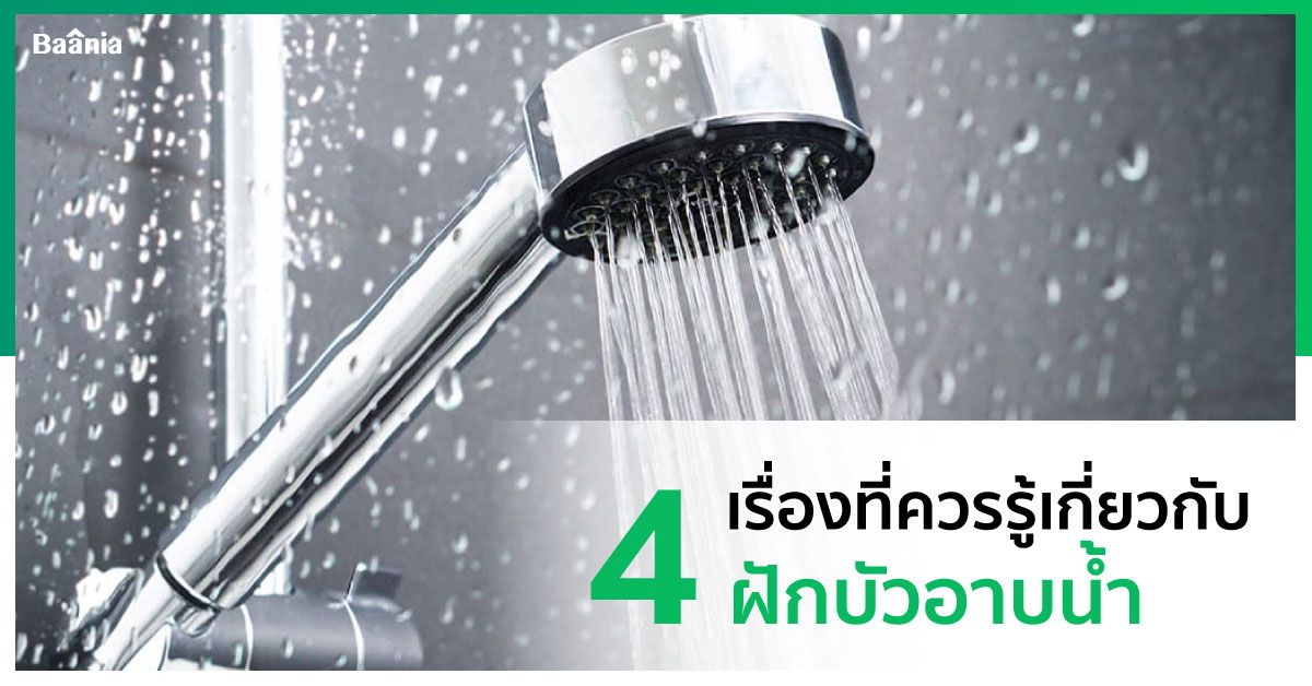 บ้าน, ภาพหลัก