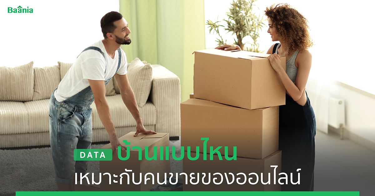 Trends & Data, ภาพหลัก