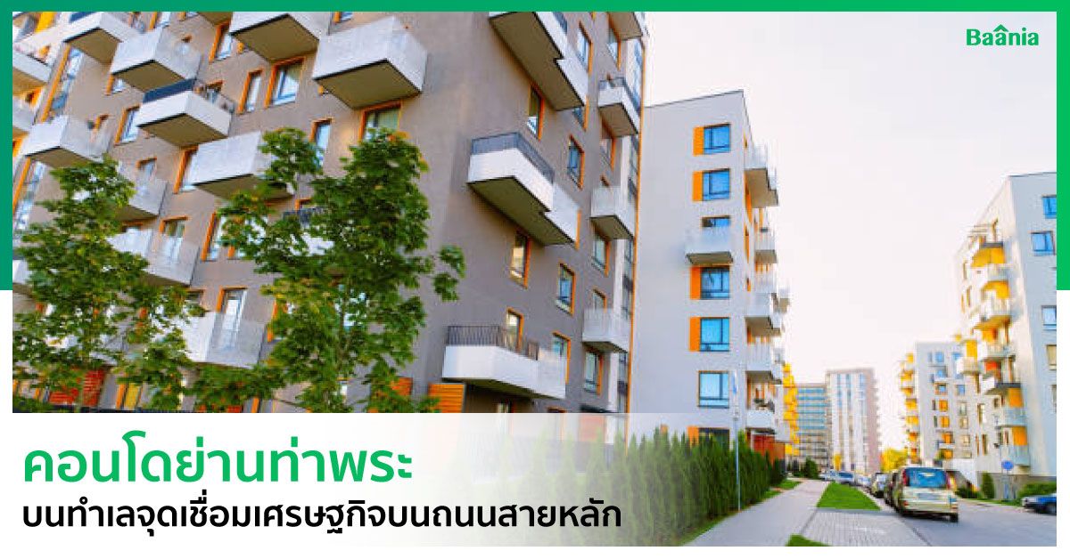 คอนโด, ภาพหลัก