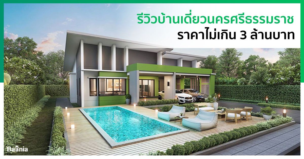 รีวิว, ภาพหลัก
