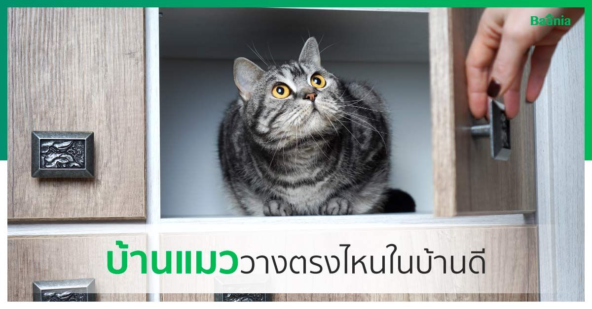 บ้าน, ภาพหลัก