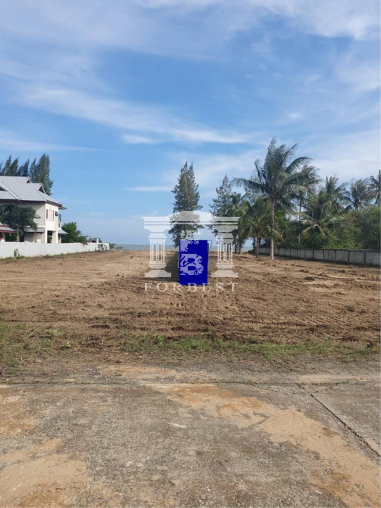 ขาย ที่ดิน ตำบลกุยเหนือ อำเภอกุยบุรี จังหวัดประจวบคีรีขันธ์, ภาพที่ 4