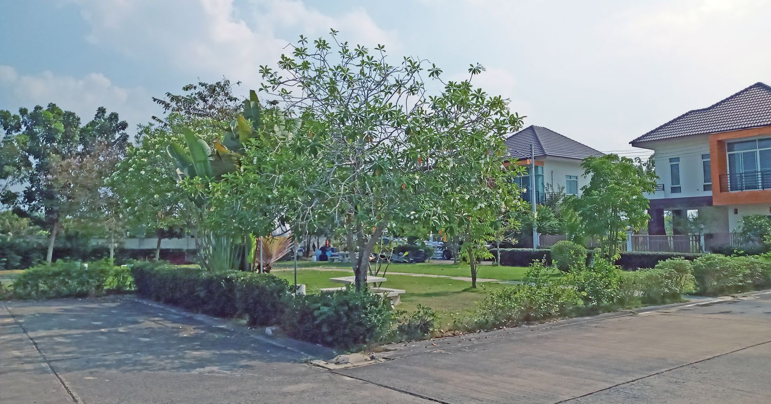 เดอะไลท์ ศาลายา - บรรยากาศ - 3