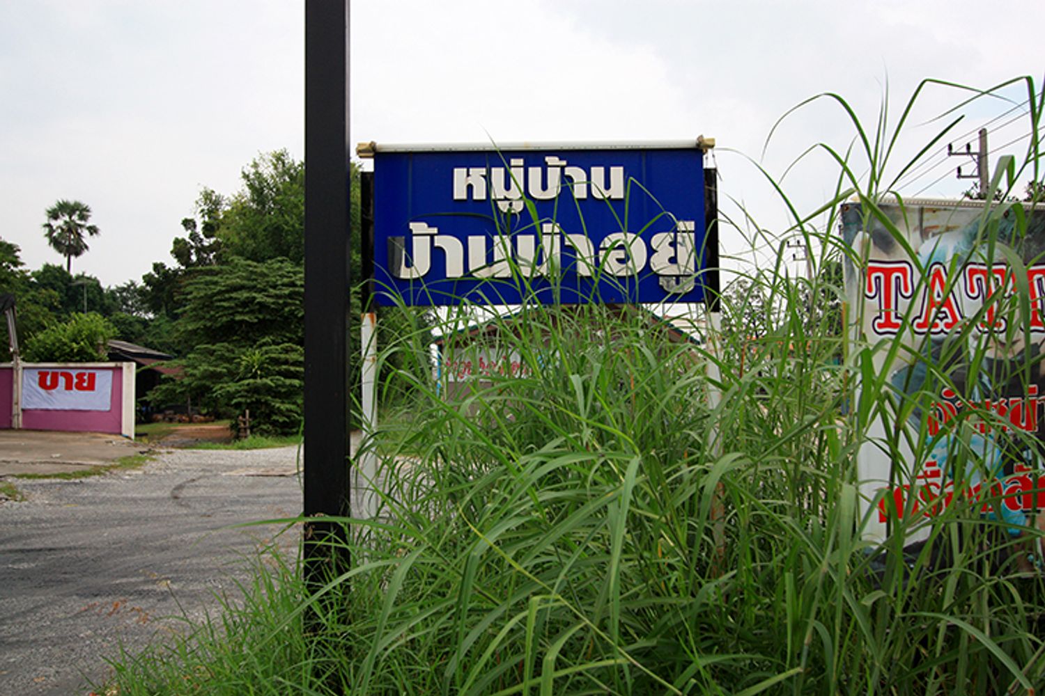 ภาพหลัก -  บ้านน่าอยู่