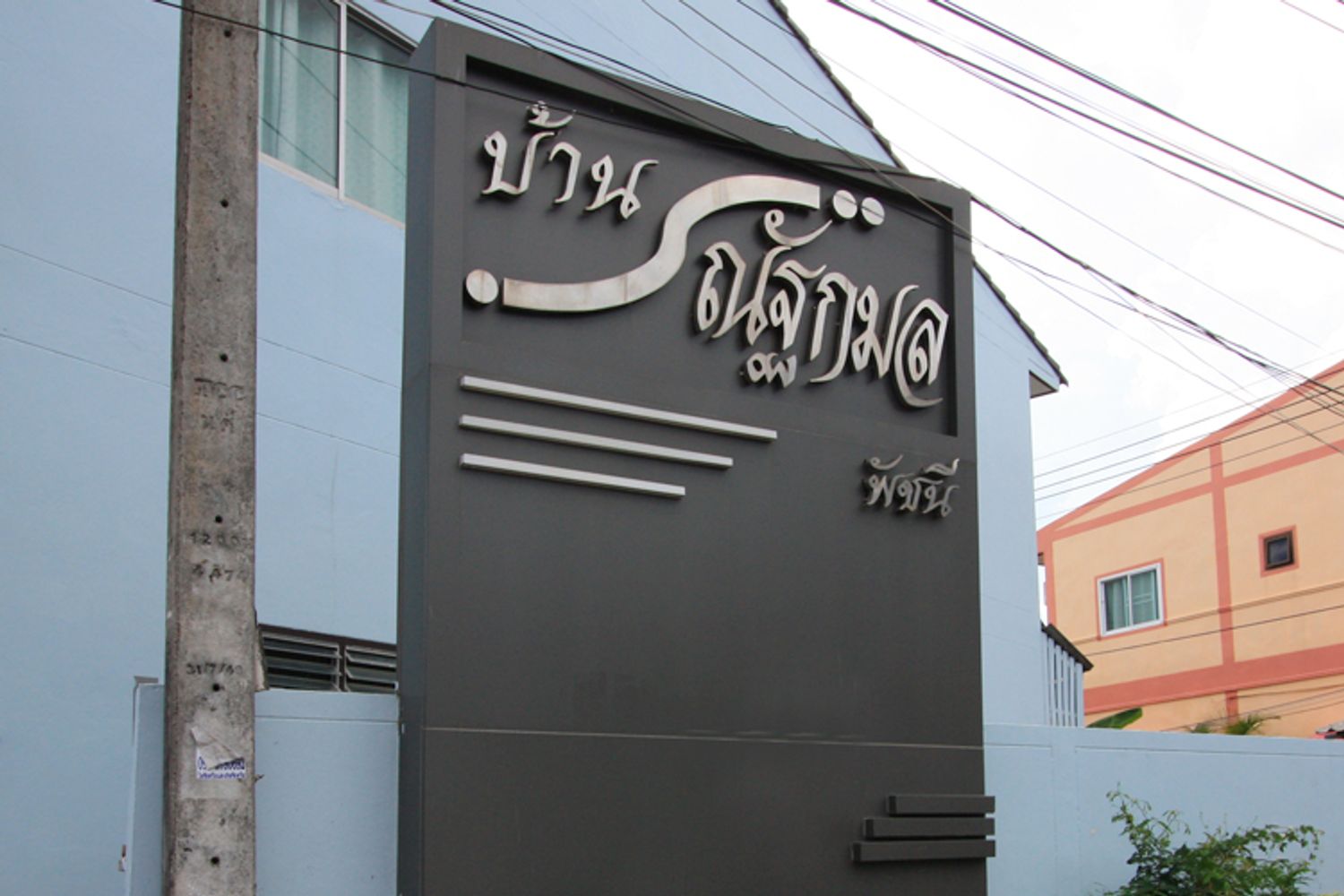 ภาพหลัก -  ณัฐกมล พัชนี