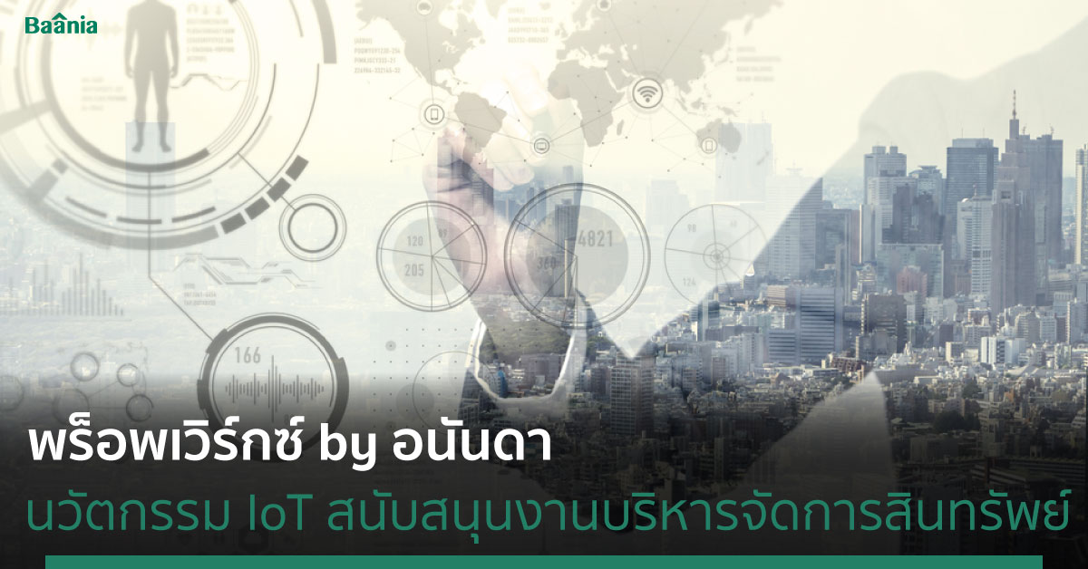ข่าว, ภาพหลัก
