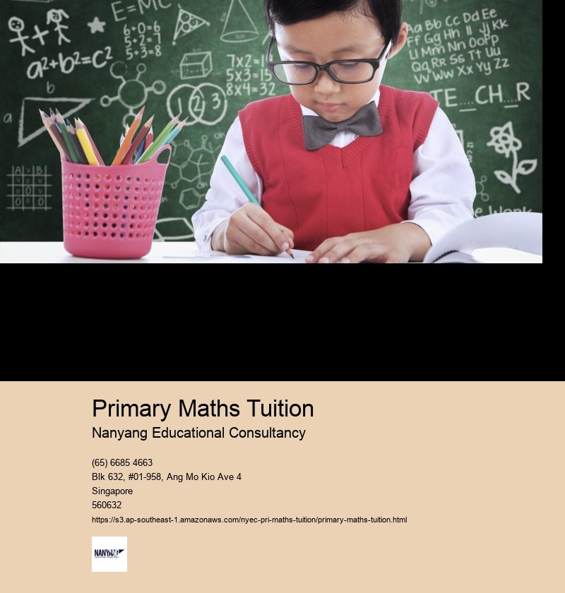 Primary Maths Tuition Nanyang Educational Consultancy Primary Maths Tuition Singapore