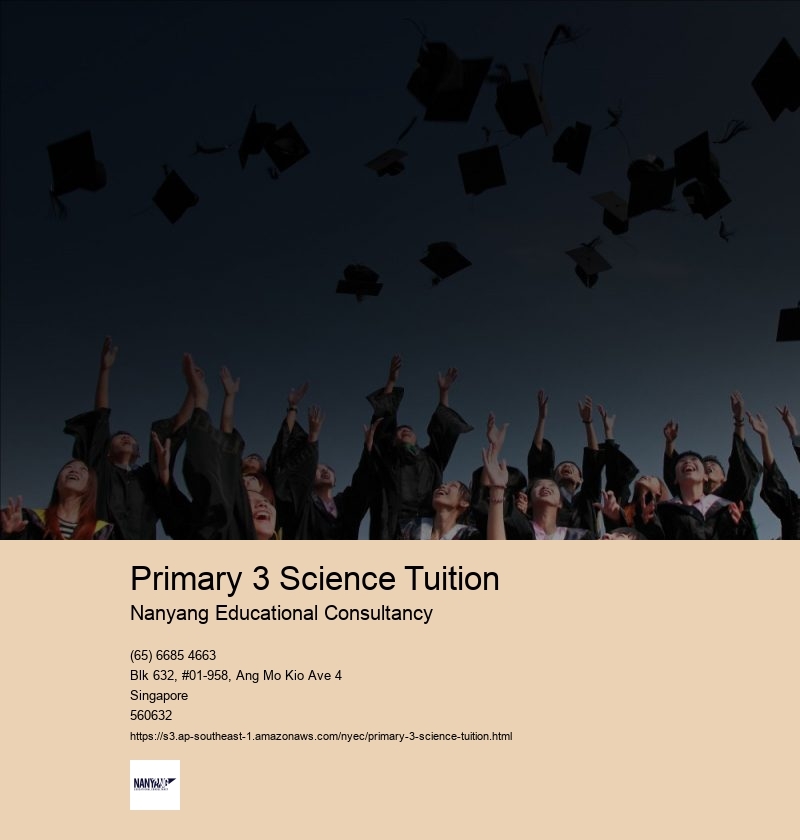 Primary 3 Science Tuition Nanyang Educational Consultancy Primary Science Tuition Singapore