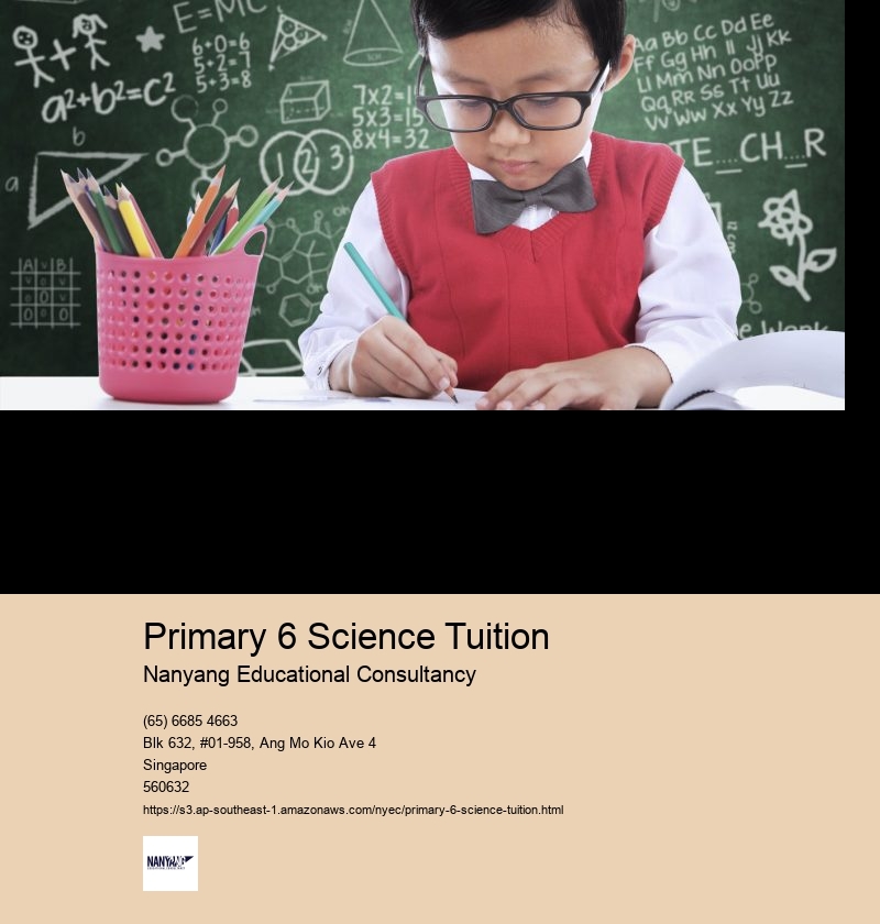 Primary 6 Science Tuition Nanyang Educational Consultancy Primary Science Tuition Singapore