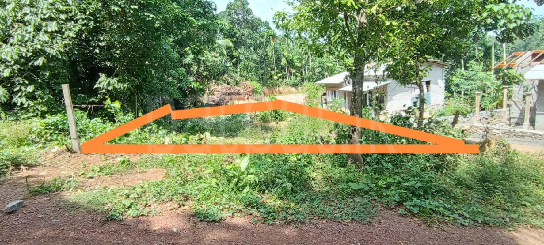 listing-image