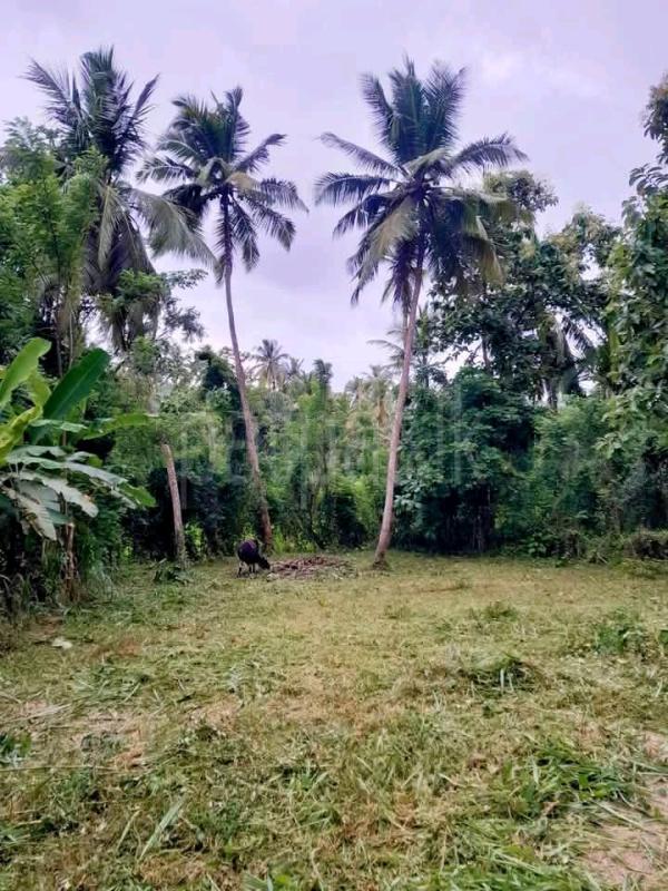 listing-image