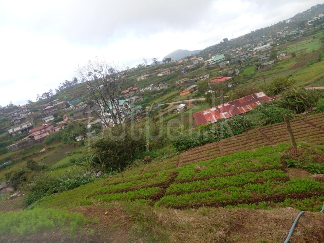 listing-image