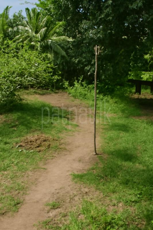 premium-listing-image