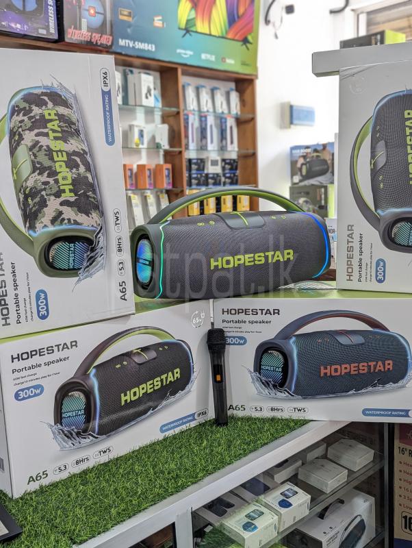 Hopestar A65 High Power Outdoor Party Speakers (300W)