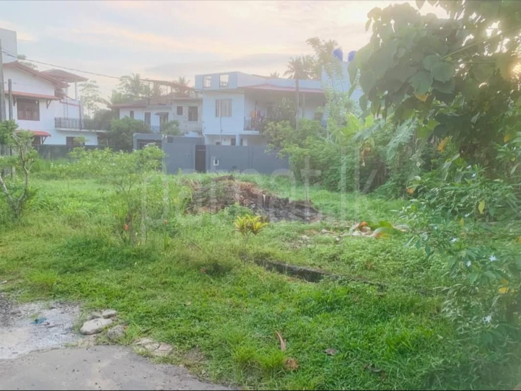 listing-image