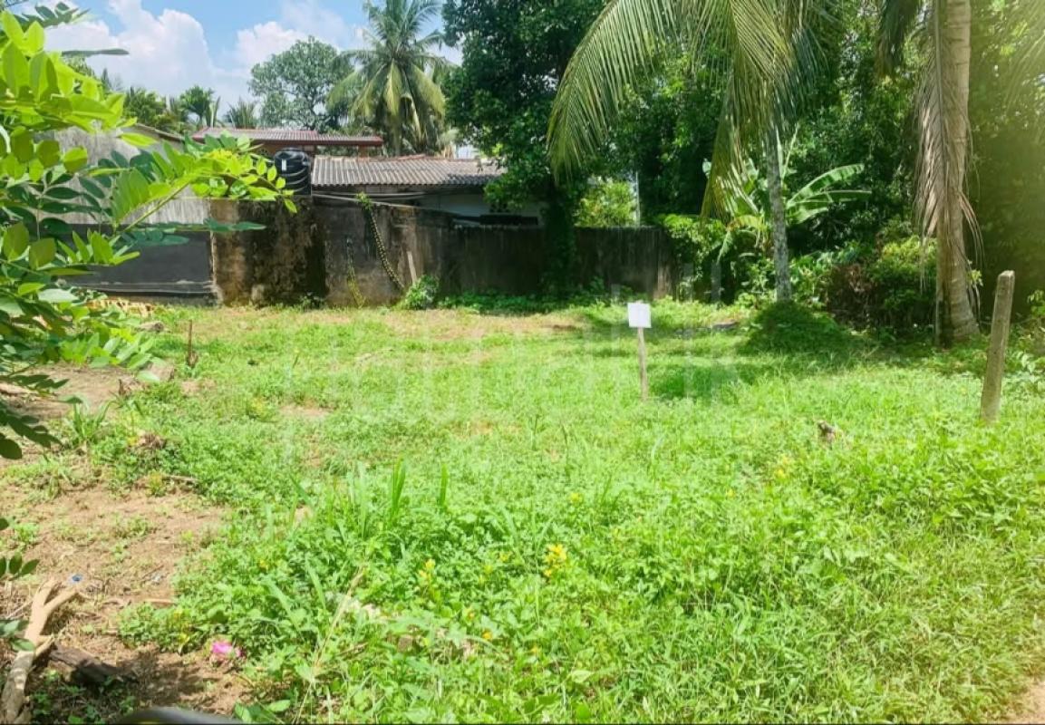 listing-image