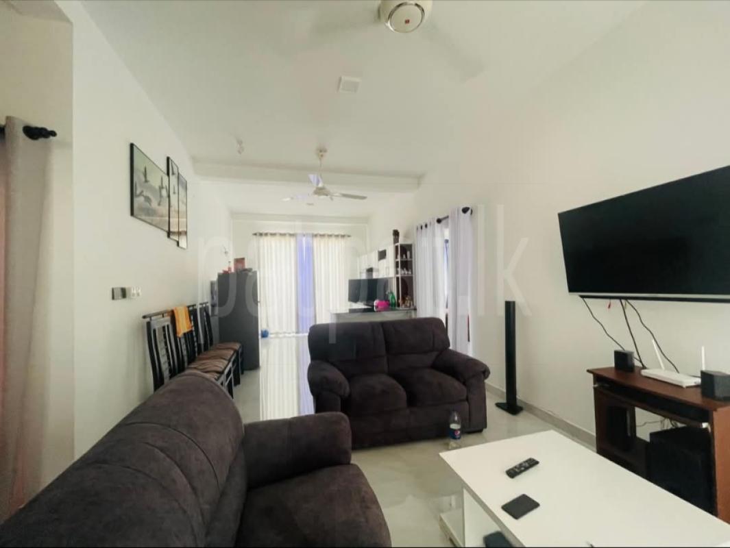 premium-listing-image