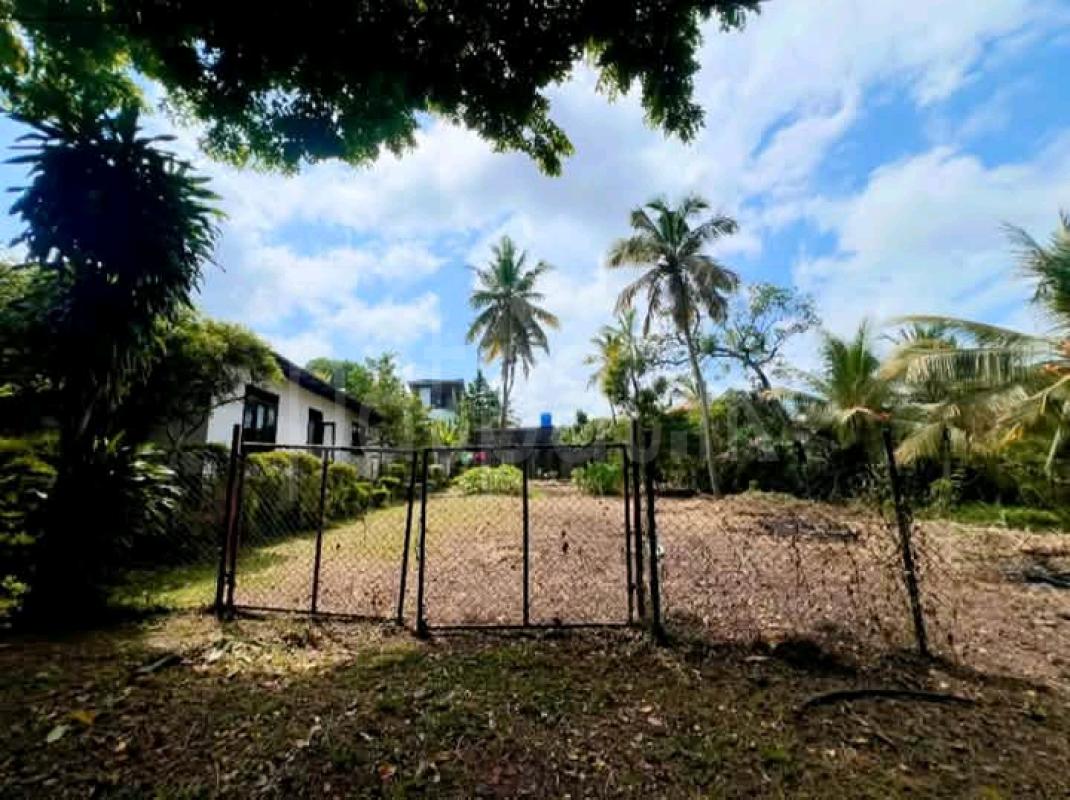 listing-image