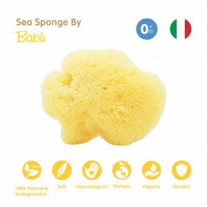 Natural Sea Sponge Silk Fine