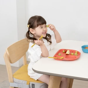 (PRE-ORDER) Booster Seat Cushion